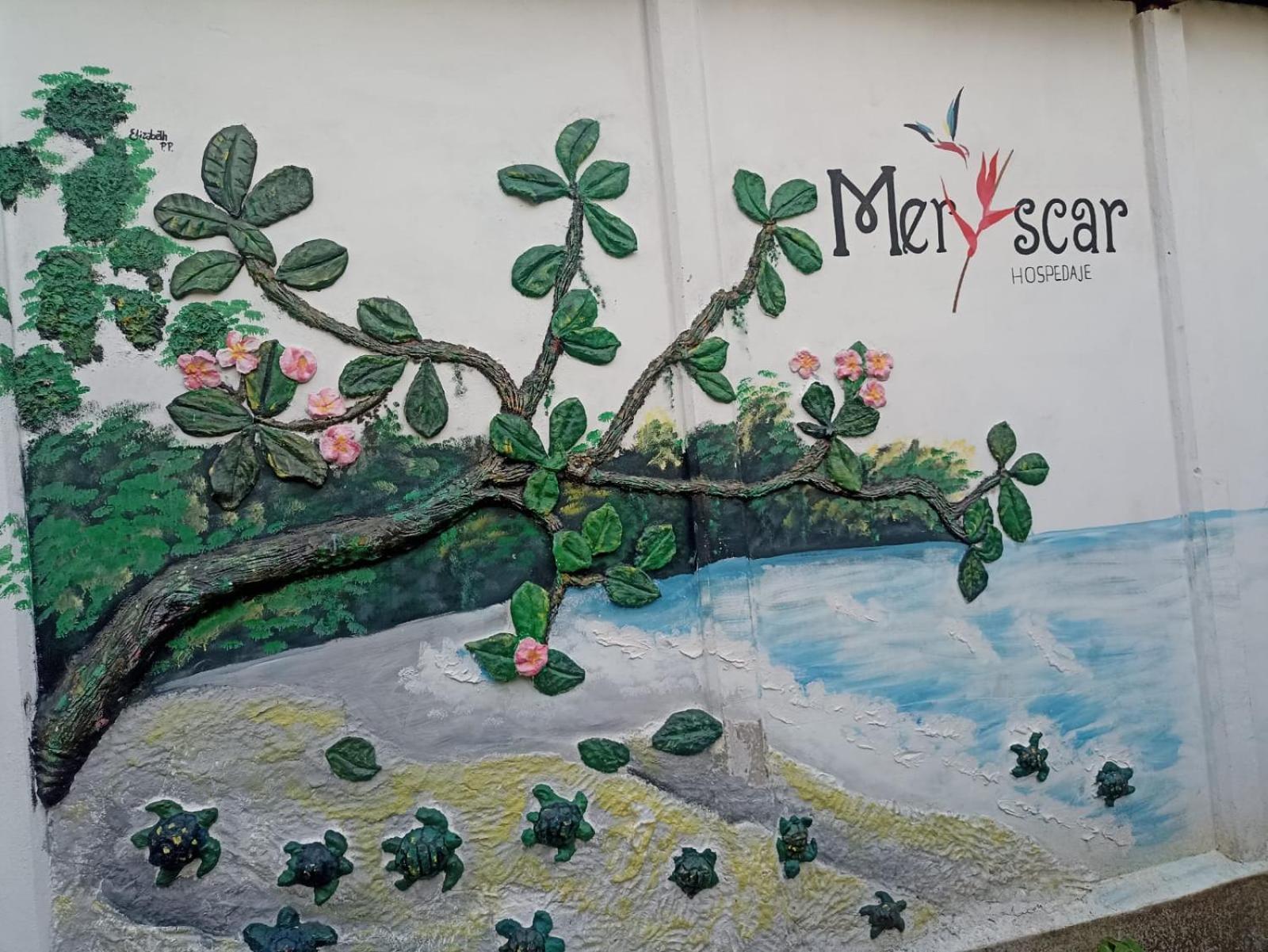 Hospedaje Meryscar 托尔图格罗 外观 照片