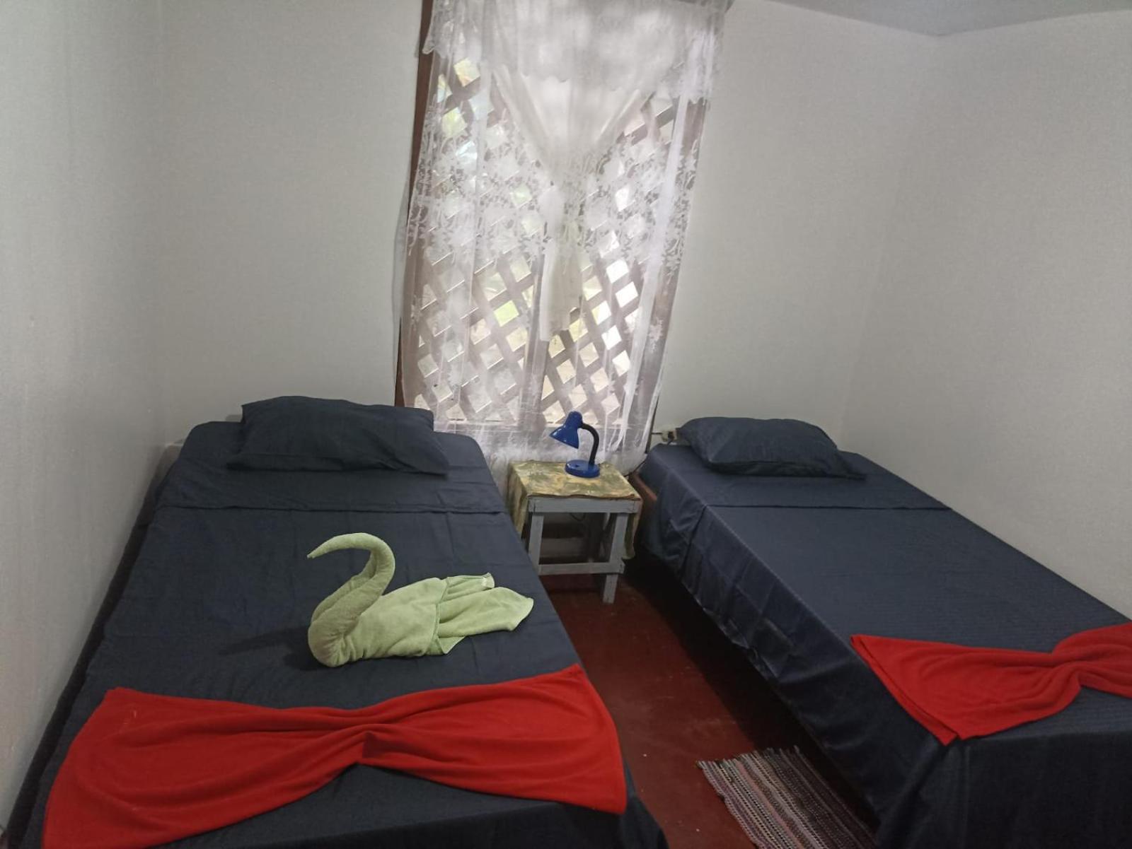 Hospedaje Meryscar 托尔图格罗 外观 照片